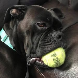 Meet your Posher, Karen